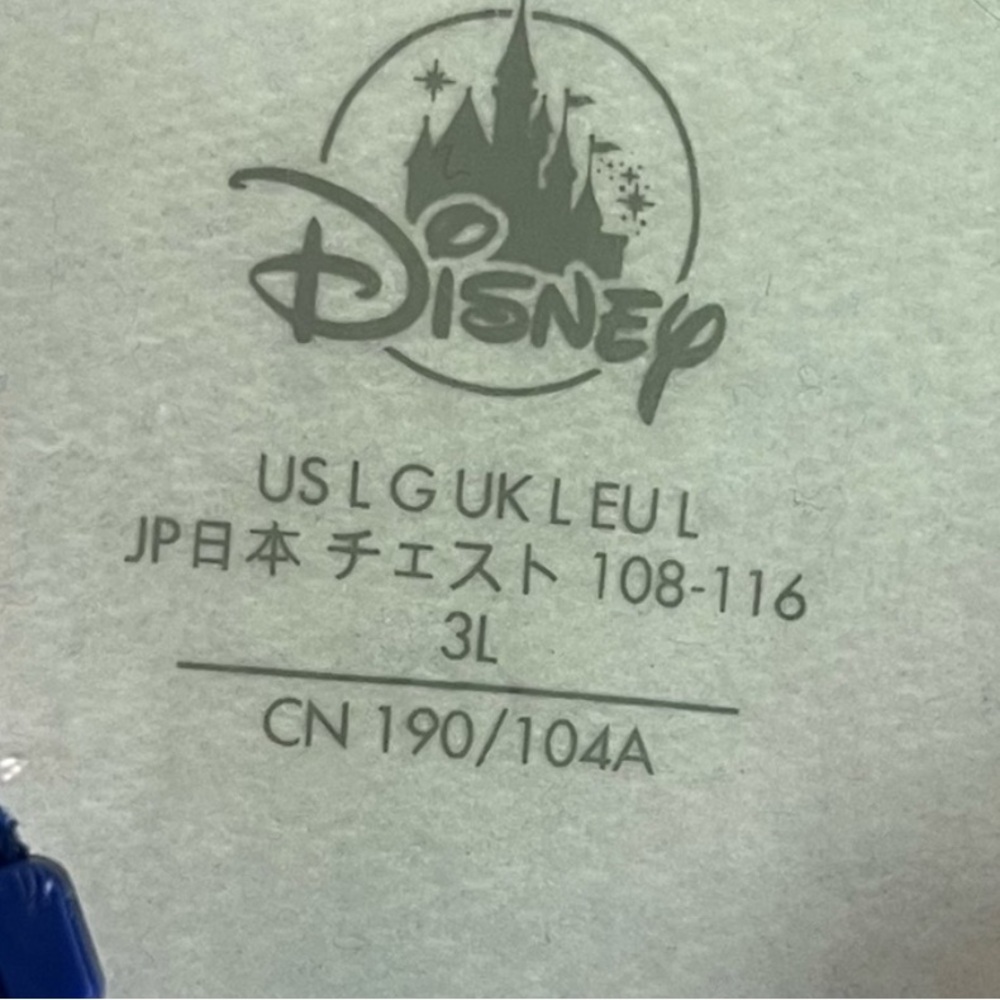 WALT DISNEY WORLD Resort 2021 Zip Hoodie - Picture 13 of 15